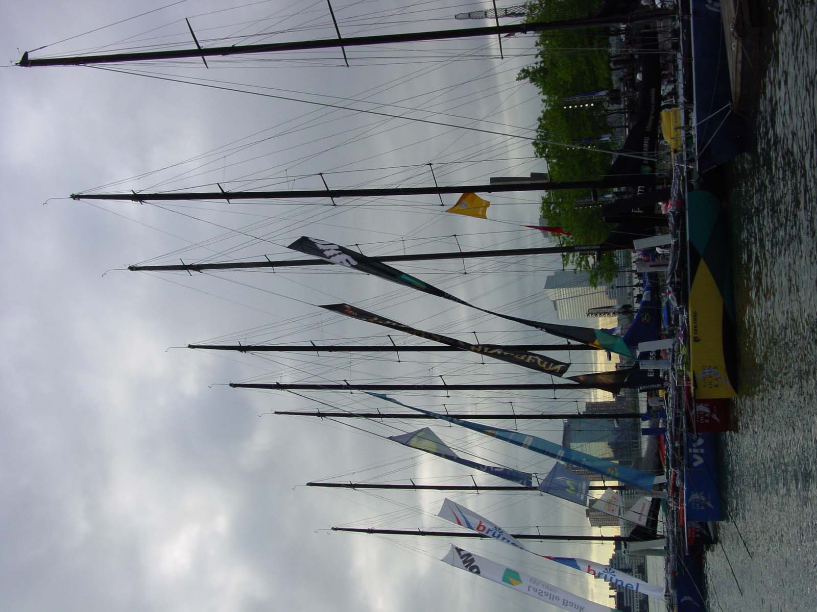 DSC00310