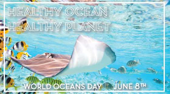 Healthy Ocean, Healthy Planet, World Oceans Day